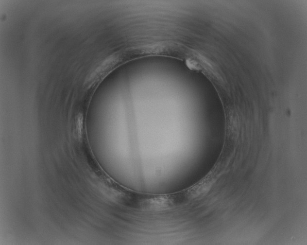 X0000070860118200606231302