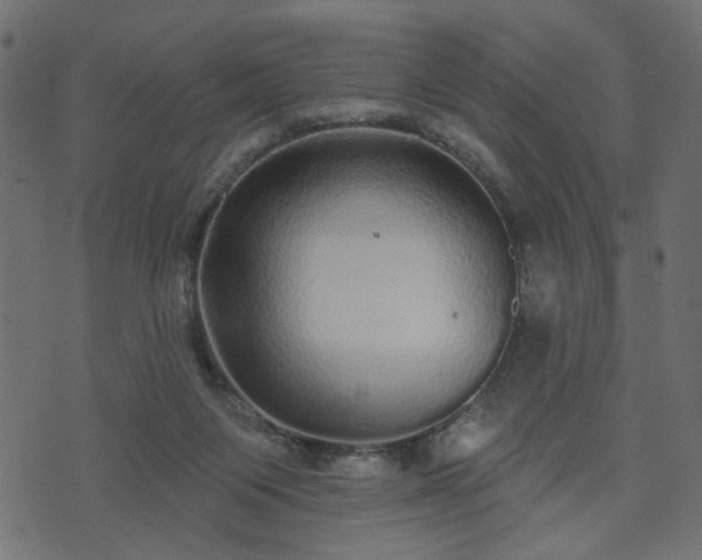 X0000070860119200606231302