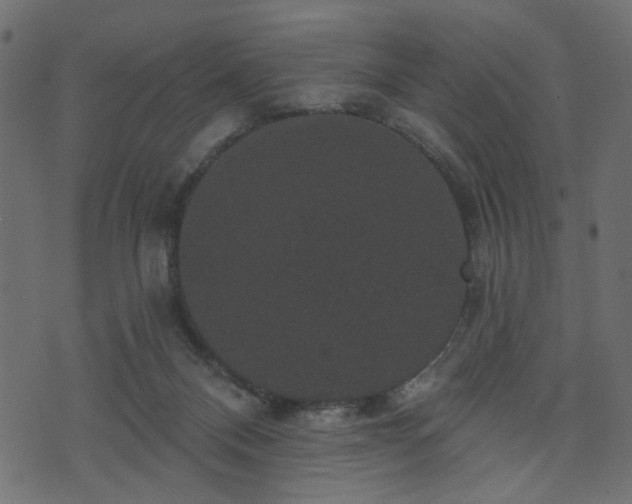 X0000070860120200606231302