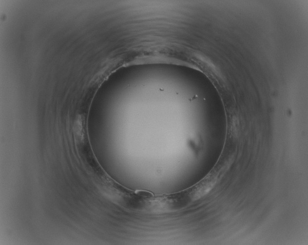 X0000070860121200606231302