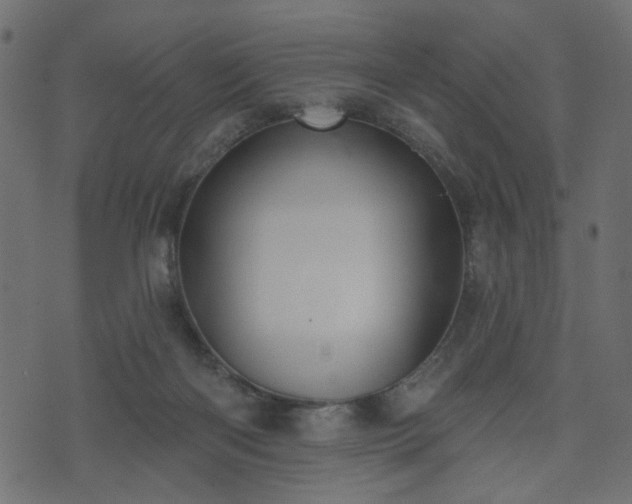 X0000070860122200606231302