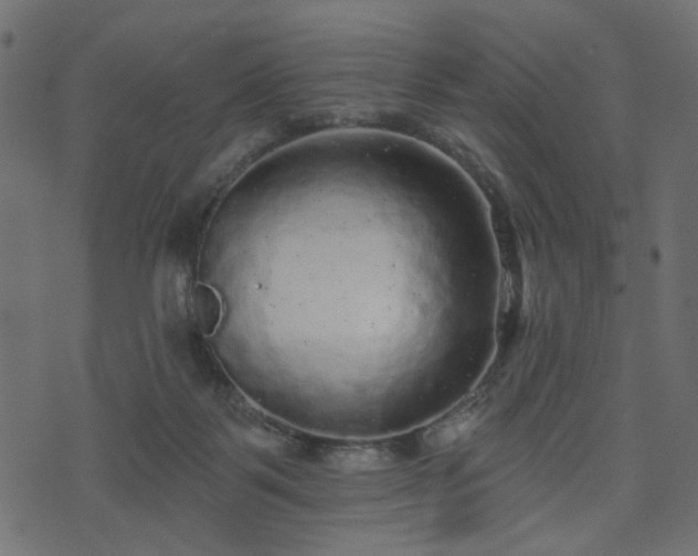 X0000070860123200606231302