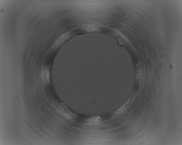 X0000070860124200606231302