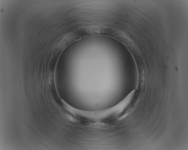 X0000070860125200606231302