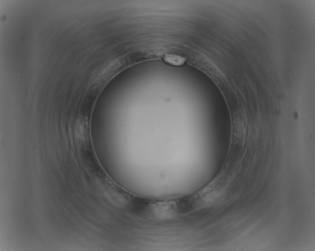 X0000070860126200606231302