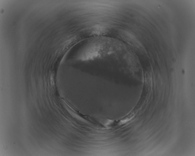 X0000070860127200606231302