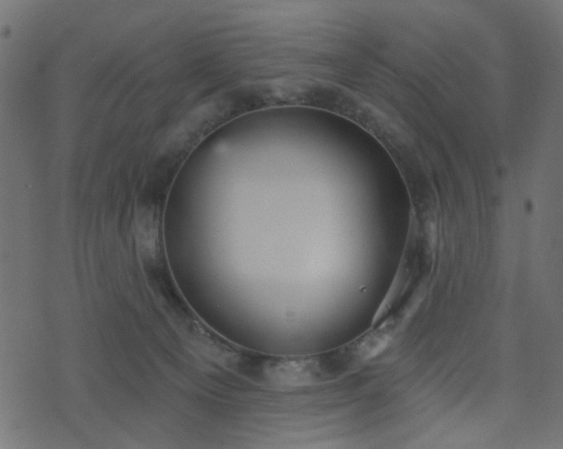 X0000070860129200606231302