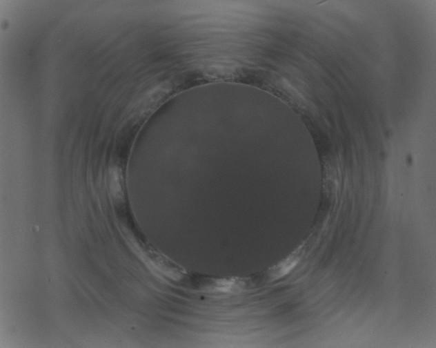 X0000070860130200606231302