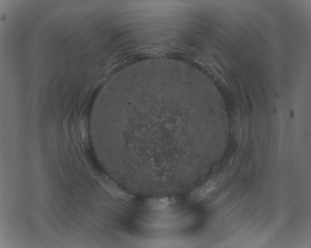 X0000070860131200606231302