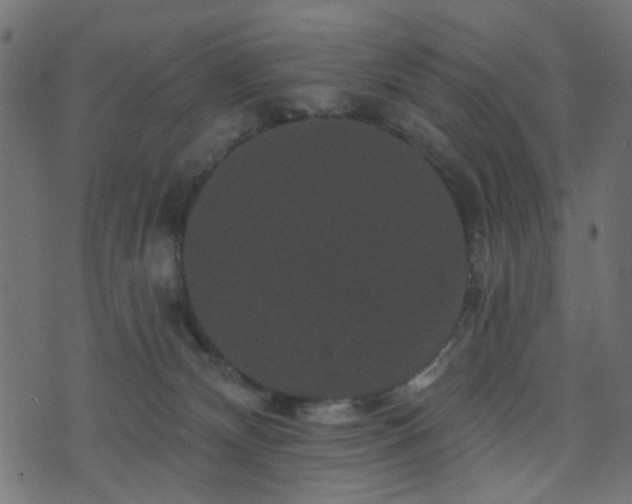 X0000070860132200606231302