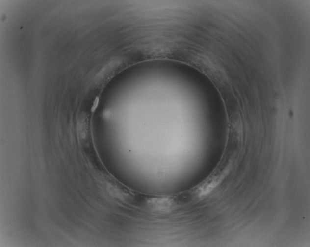 X0000070860133200606231302