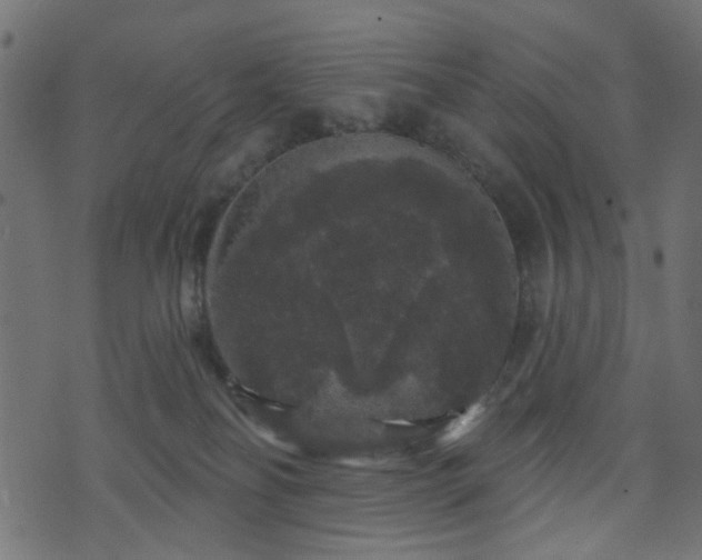 X0000070860134200606231302