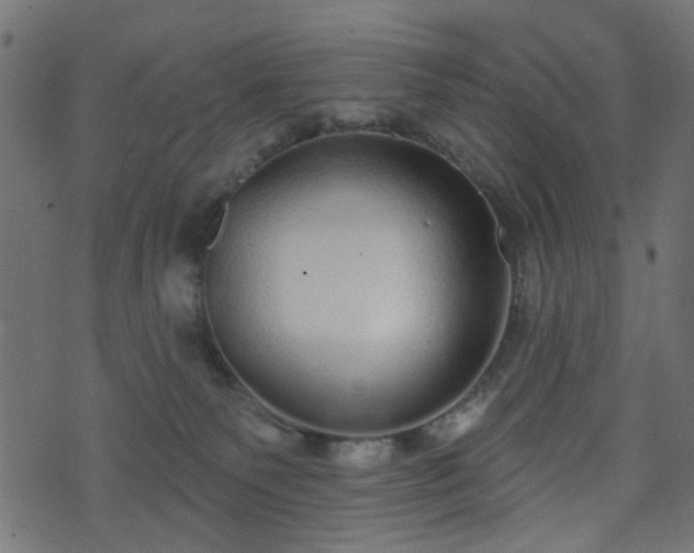 X0000070860135200606231302