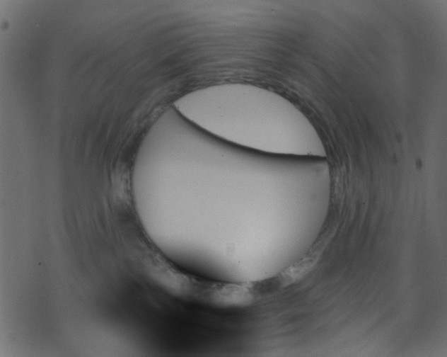 X0000070860138200606231302