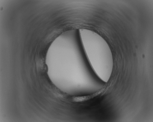 X0000070860139200606231302