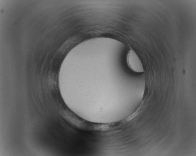 X0000070860140200606231302