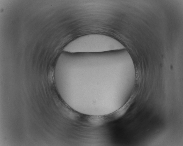 X0000070860142200606231302