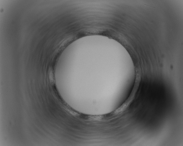 X0000070860143200606231302