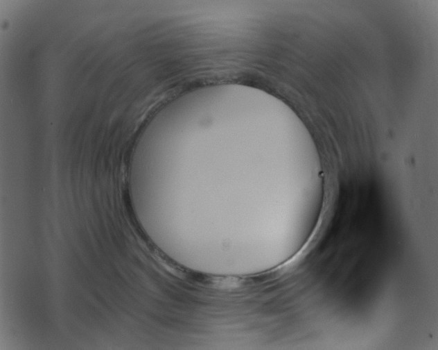 X0000070860144200606231302