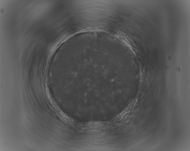 X0000070860145200606231301