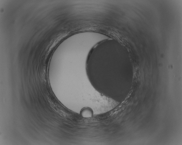 X0000070860146200606231301