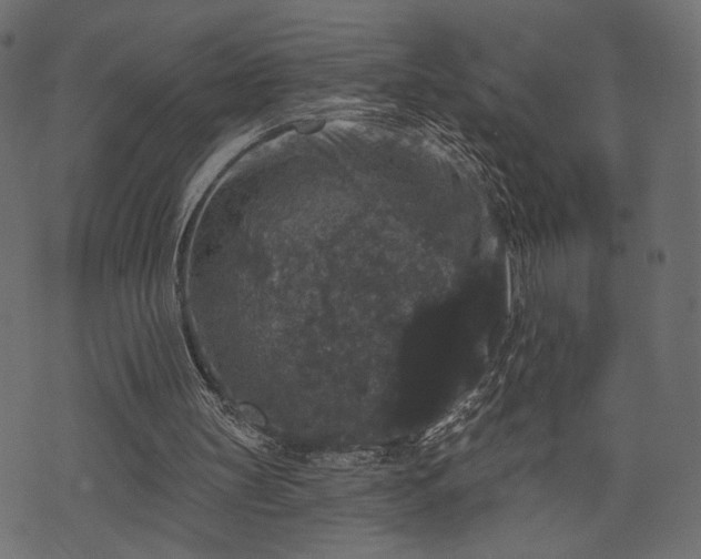 X0000070860147200606231301