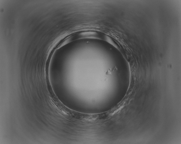 X0000070860148200606231301