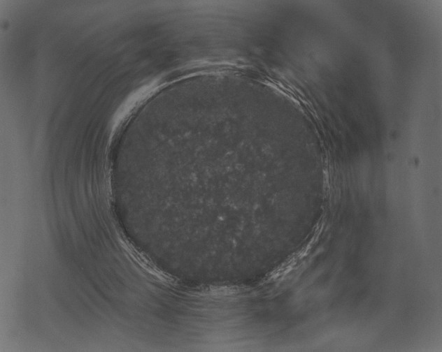 X0000070860149200606231301