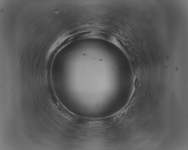 X0000070860150200606231301