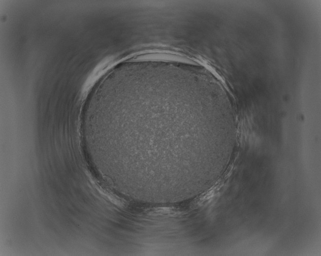 X0000070860151200606231301