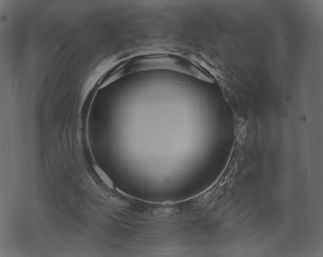 X0000070860152200606231301