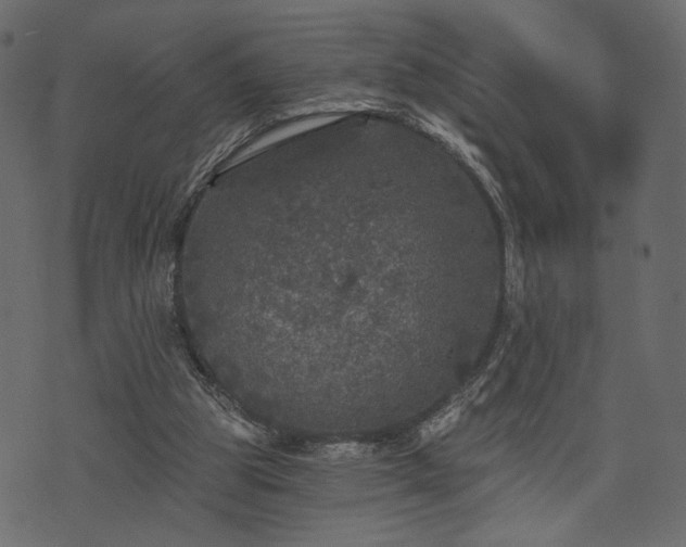 X0000070860153200606231301