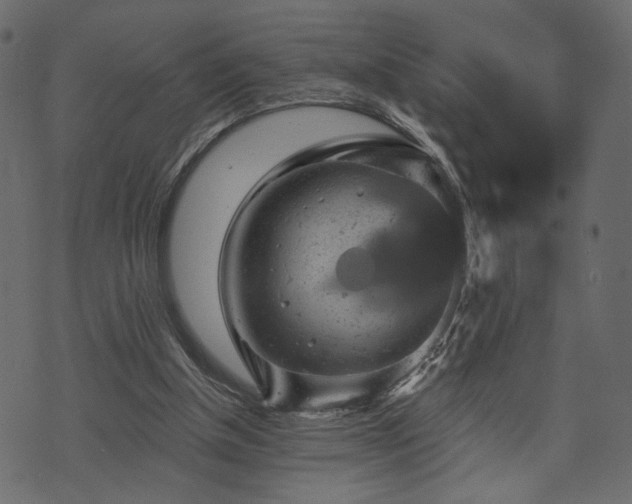 X0000070860154200606231301