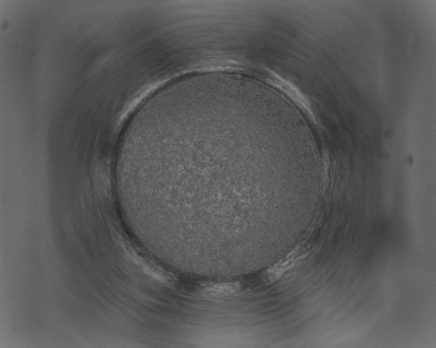 X0000070860155200606231301