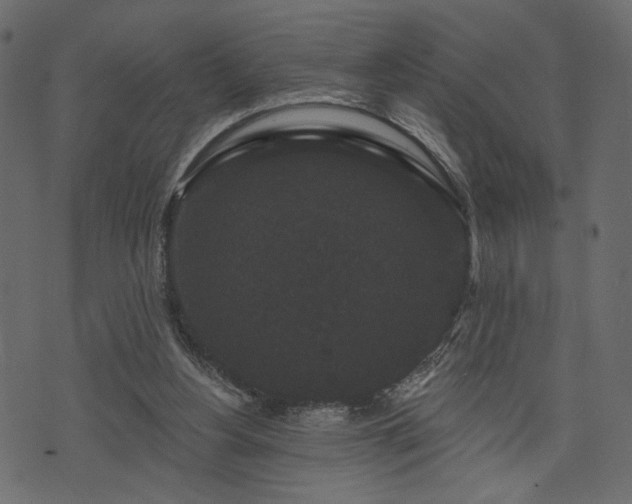 X0000070860156200606231301