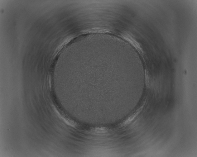 X0000070860157200606231301