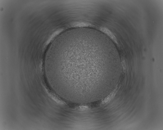 X0000070860159200606231301