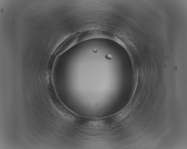 X0000070860160200606231301