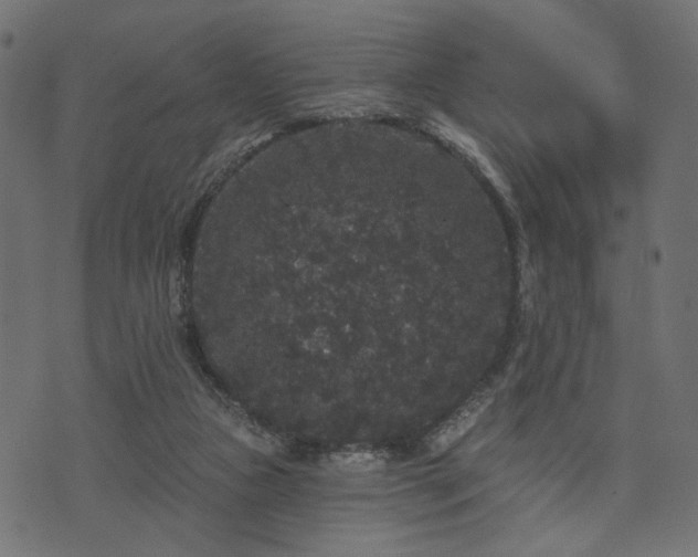 X0000070860161200606231301