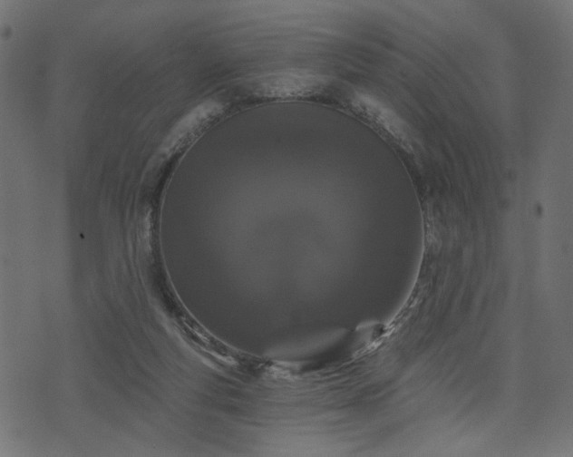 X0000070860163200606231302