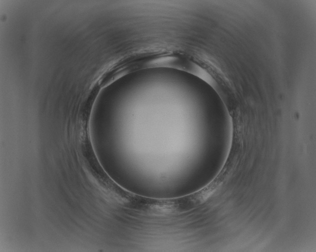 X0000070860164200606231302