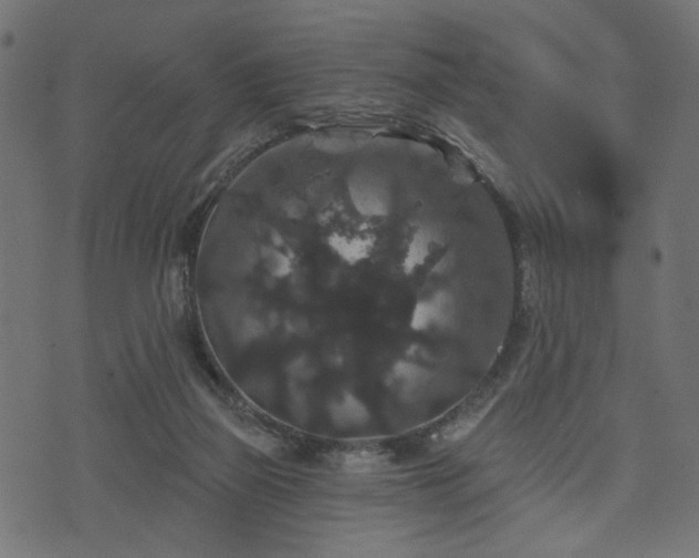 X0000070860165200606231302