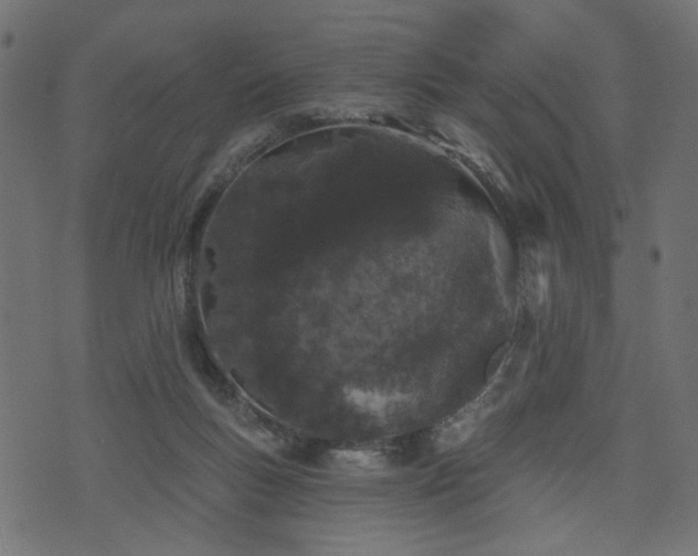 X0000070860167200606231302