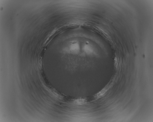 X0000070860168200606231302