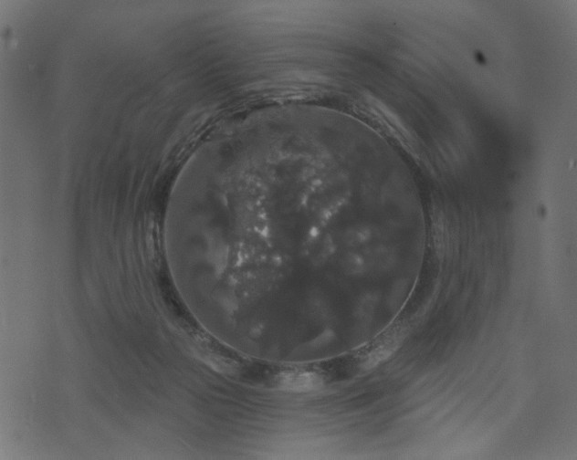 X0000070860169200606231302