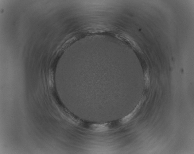 X0000070860170200606231302