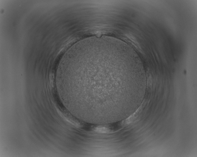 X0000070860171200606231302