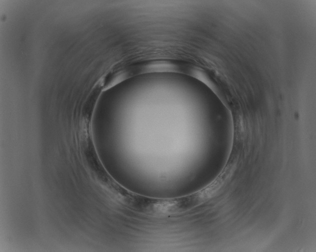 X0000070860172200606231302