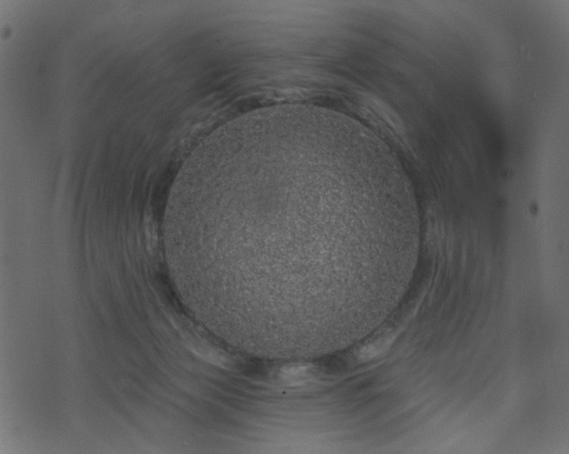 X0000070860173200606231302