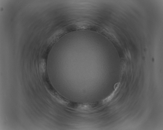 X0000070860174200606231302